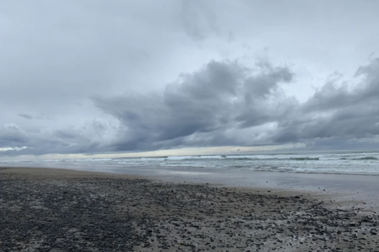 Maryland City Grey Skys